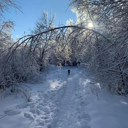 Harmony - Tatranska Lomnica, Javorinka 타트란스카롬니카